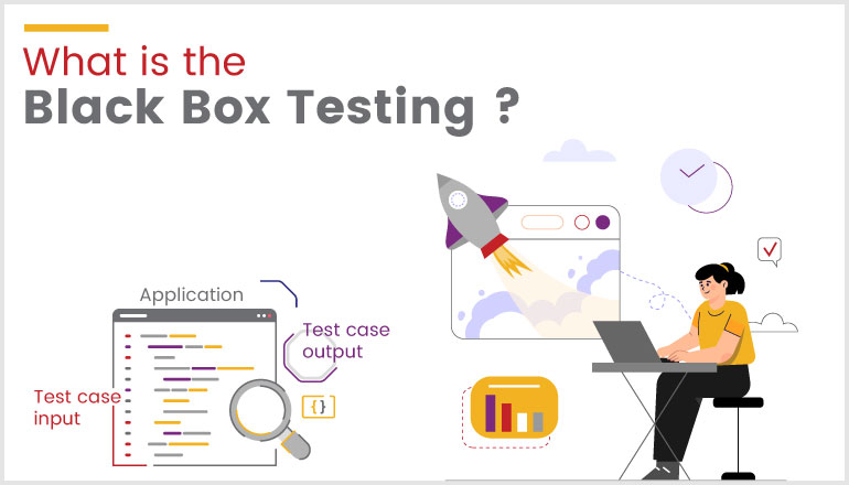 What is Black box Security Testing?