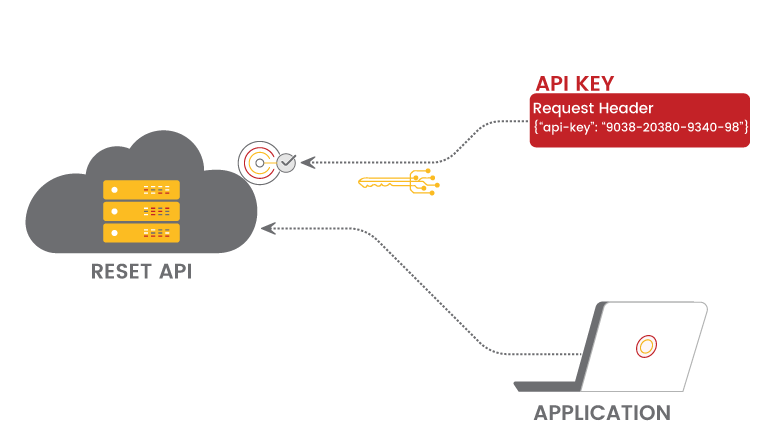 How to interact with the APIs using the new authentication type