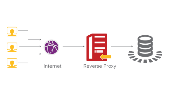 11 Reasons Why You Should Start Using the Proxy Server